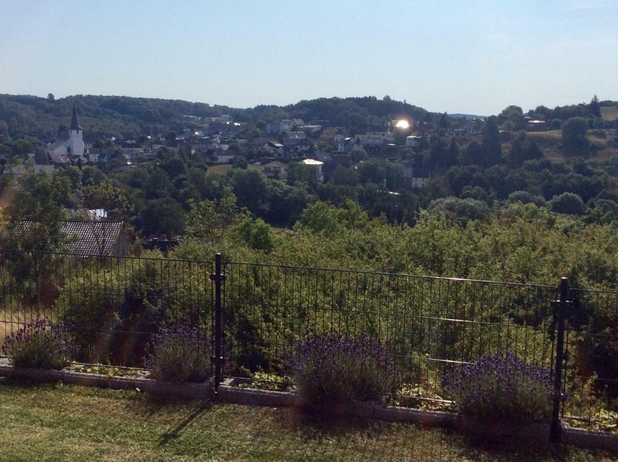 Ferienwohnung Hoehenweg 25 Nettersheim 外观 照片